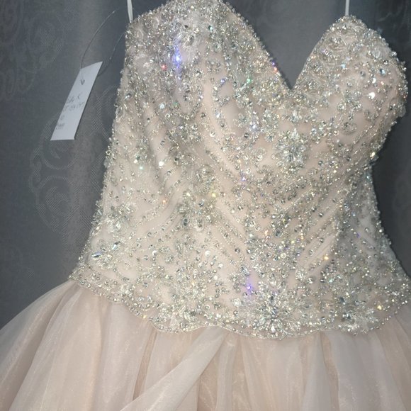 NEW Eddy K Wedding Dress, Blush Swarovski Ballgown Princess, Size 10 Reg $4999 - Picture 5 of 11